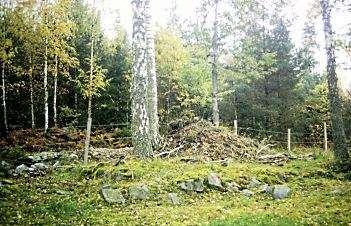 Bäckfall N58 08,068' E16 18,202' 2218 Husgrund med spisröse 2015 Laga skifte 1864 Byggnadsåret är okänt. Finns i kyrkboken 1792. Torparen Petter Jonsson och Maja Persdotter bodde här 1814.