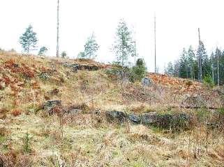 Neustad N58 08,424' E16 17,805' 2227 Husgrunden 2015 Laga skifte 1864 Torparen Anders Petter Nilsson f 1809 i Västervik och Sara Catharina Svensdotter f 1814 i Yxnerum byggde torpet och flyttade hit