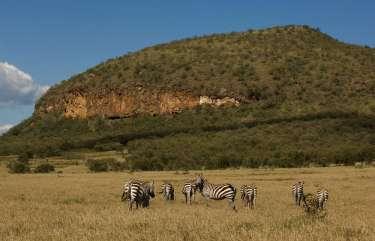 På vägen stannar ni för att ta in de mäktiga vyerna över Great Rift Valley, dvs den stora förkastningsspricka som löper genom den västra halvan av Kenya.