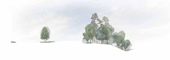 Albanoskogen.