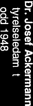 Icke verkställande ledamot: Royal Dutch Shell plc Ledamot International Advisory Board: The National Bank of Kuwait, Akbank och The China Banking Regulatory Commission (CBRC) Dr.