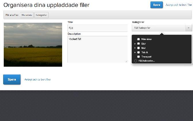 Metadata Kategorier Addera kategori och metadata Att addera korrekta filegenskaper, vilket betyder att lägga till kategorier och relevant information i metadatafält, kommer att innebära att en fil