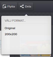 10. Dela filer Ibland kan det vara bra att kunna skicka en fil till någon som inte har tillgång till ImageVault. 10.1. Skapa delning Välj filen genom ett klick på filen i visningsområdet följt av ett tryck på knappen Dela.