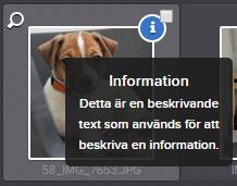 13. Informationsikoner Det går att tagga filer med olika ikoner och tillhörande