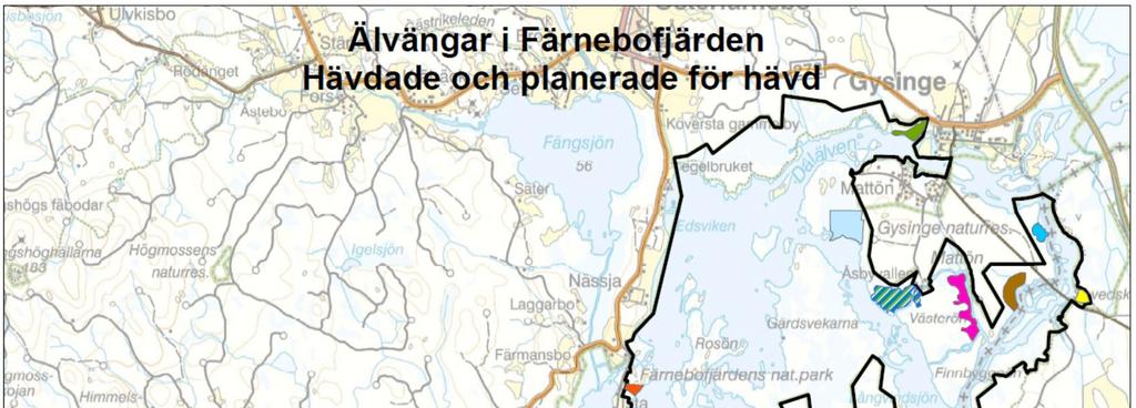 NATURVÅRDSVERKET