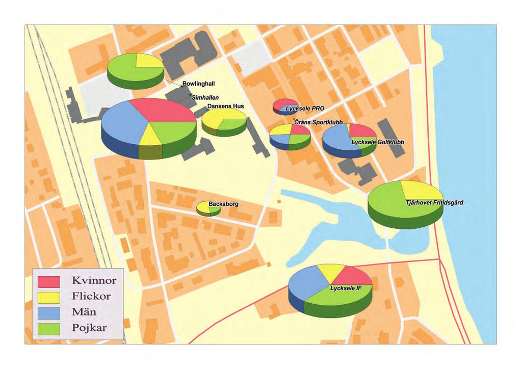 Lyckesele har koll på fördelningen JämGIS, aktivitetskort och ekonomisystem Uppföljningen 2012: 57 procent till männen