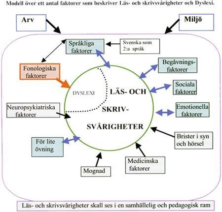 Övergripande faktorer är arv och miljö som Jacobson menar kan ha inverkan på alla orsaker till läs- och skrivsvårigheter.