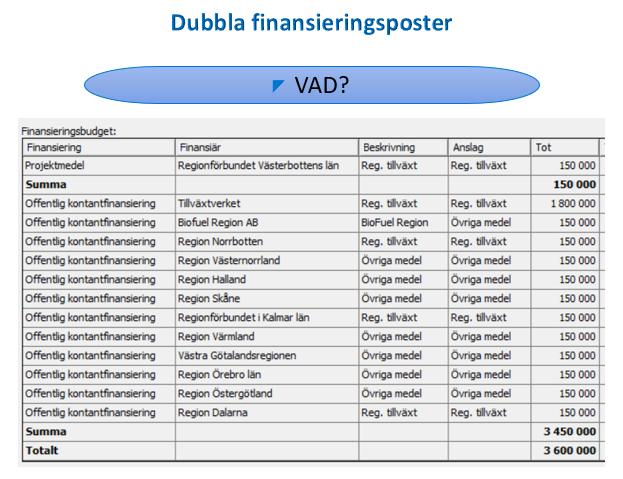 Det moment som är knepigast i uppföljningsarbetets kvalitetssäkring är att rensa bort dubbla finansieringsposter. Ett projekt bestå av flera ärenden från flera olika beslutsfattare.