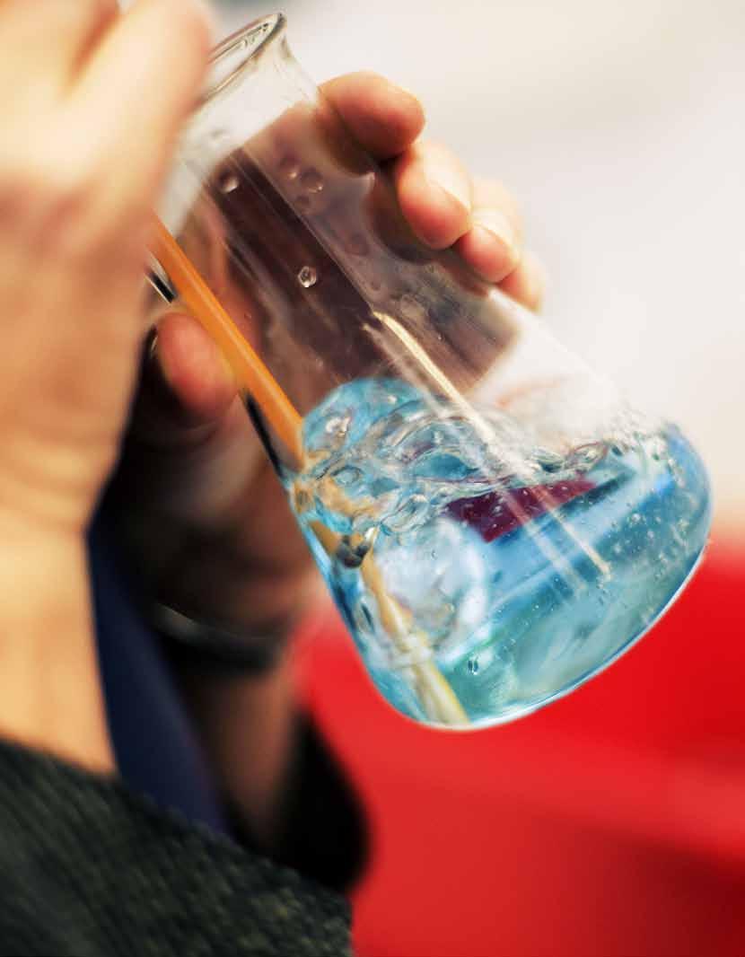 Naturvetenskapsprogrammet Inriktning Naturvetenskap På Södra Latin har vi valt att erbjuda inriktningen naturvetenskap på Naturvetenskapsprogrammet.