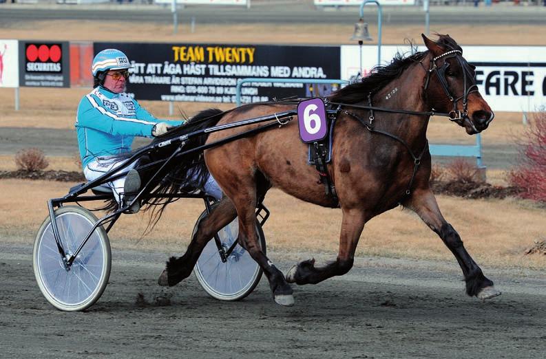 30,7a 42 Benny Söderberg 30 000 Månadens Häst Bollnästravet, ett samarbete mellan Folksam