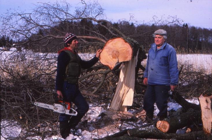 strandskator. På fotot i figur 9 från 1988 röjs skäret av Bosse Eriksson och Rune Hermansson.