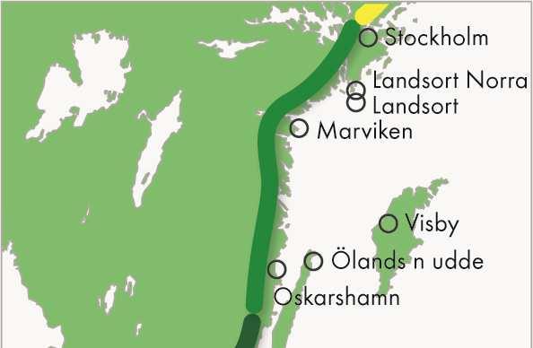 däremot effektivt pressas upp eftersom sundet smalnar av söderut och vattnet då inte har någonstans att ta vägen.