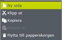 NAVIGERINGSFÖNSTER/ROTKATALOG Navigeringsfönstret även kallad Rotkatalog och Sidstruktur är där alla sidorna ligger.