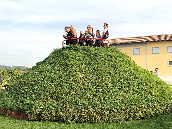 Vi tackar Cipriani och