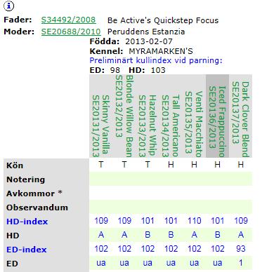 Under rubriken Kull/helsyskon i Avelsdata redovisas såväl preliminärt kullindex vid parning som individuella index för hundar med eget röntgenresultat.