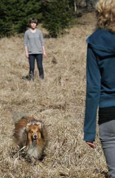 Specialmoment Redan i appellklassen möter man tre olika moment som man ska klara av tillsammans med sin hund.