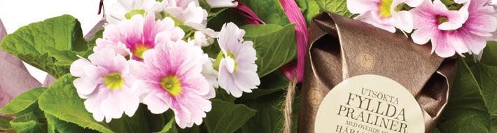 Hos oss hittar Ni blommorna för både vardag och fest. Snittblommor, krukväxter och självklart lokalt odlade sommarplantor.