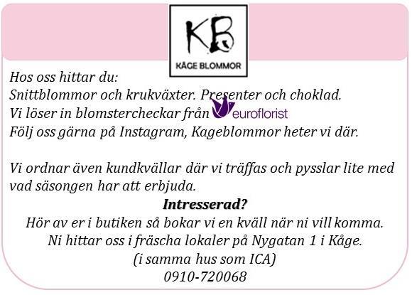 Plantmarknad Lördag den 10 juni 11.00 13.00 Nordanå Välkommen att både sälja och köpa plantor. Du som ska sälja plantor ställer upp dem timmen före försäljningen börjar.