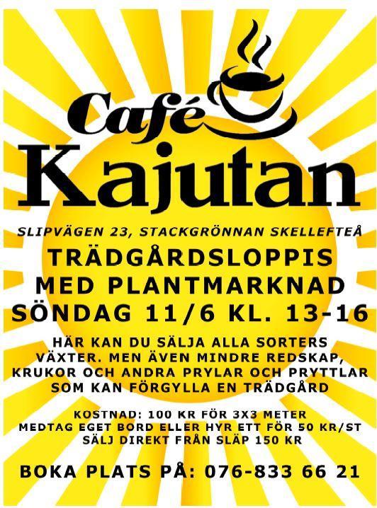 växter inte finner sig tillrätta längre eller kanske bara är sugen på att skänka växter till kommunens äldreboenden.