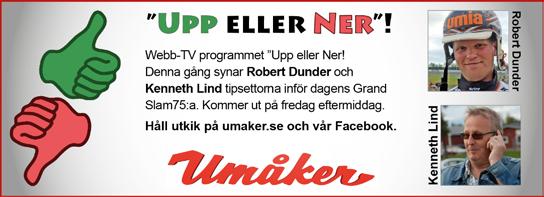 : LOPP Skyltsponsorerna Lopp DubbelCupen, försök -åriga och äldre kallblodiga lägst. kr. m. Tillägg m för hingstar och valacker. m vid vunna.. kr. Pris:.-.-.-.-.-(.)- (.) kr.