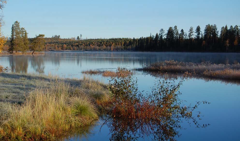 bedömning av kommunen som helhet. Med stöd av dessa definitioner bör hela Åsele kommun betraktas som landsbygd.