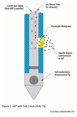 MIP