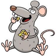 Råttor är allätare och tar vad de får tag i. Facebook-gruppen Vet du att det finns en Facebook-grupp som heter Brf Oxiegården? Där kan vi snacka, ställa frågor, bjuda in till fest eller liknande.