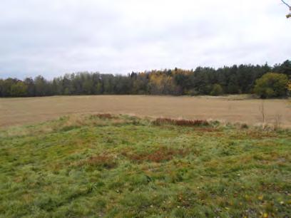 området. Granskogen skapar en tydlig vegetationsgräns och ger en spännande lekmiljö.