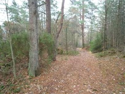 2 Landskapsinventering Planområdets natur varierar från tät barrskog till blandskog till öppet kulturlandskap.