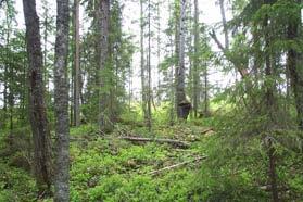 Om tickan och andra rödlistade arter som vi påvisat i området skall ha en chans att fortleva krävs hänsyn av en helt annan dignitet.