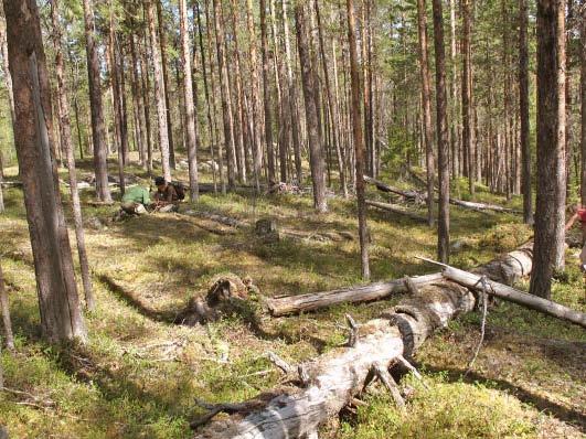 Naturskyddsföreningens bedömning Efter att ha tagit del av vår första rapportering om Kvarnbäcken, meddelade SCA den 29/8 att området kommer att inventeras under sommaren 2009 och att ett slutgiltigt