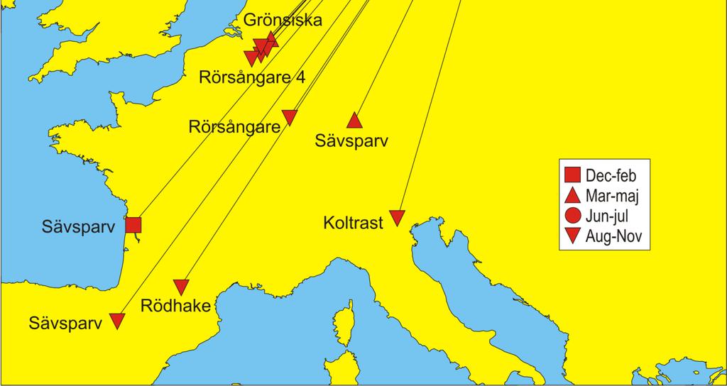 Samtliga är kontrollerade av ringmärkare och fyra av dem i Holland/Belgien där stora mängder rörsångare ringmärks.