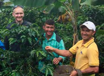 KAFFE ODLAS I HÖGRISKLÄNDER Kaffe odlas i högriskländer De största riskerna för överträdelser av mänskliga rättigheter finns inom jordbrukssektorn, och kaffe är inget undantag.