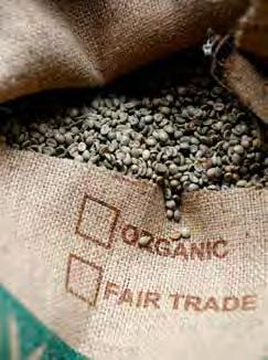 HÅLLBARA ERBJUDANDEN OCH KONSUMTION Certifierat kaffe gör skillnad Sedan 1996 arbetar Löfbergs Coffee Group med flera olika typer av certifieringar så som Fairtrade, Rainforest Alliance, olika