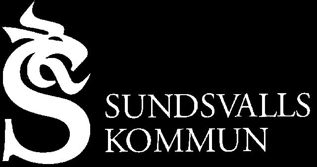 Luften i Sundsvall 2012