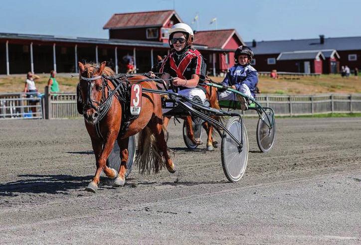 Kval Alla, körda av C- eller D- licensinnehavare. 620 m. Voltstart. Prispoäng: 0-0-0-0-0-(0). Ljusblå DIONE 620: 56,6 M 57,0 K 57,9 AK 2.975 2,br. s. e Ernst Rasken - 8: 0 0-0-0 0 7: 9 -- 56,6.