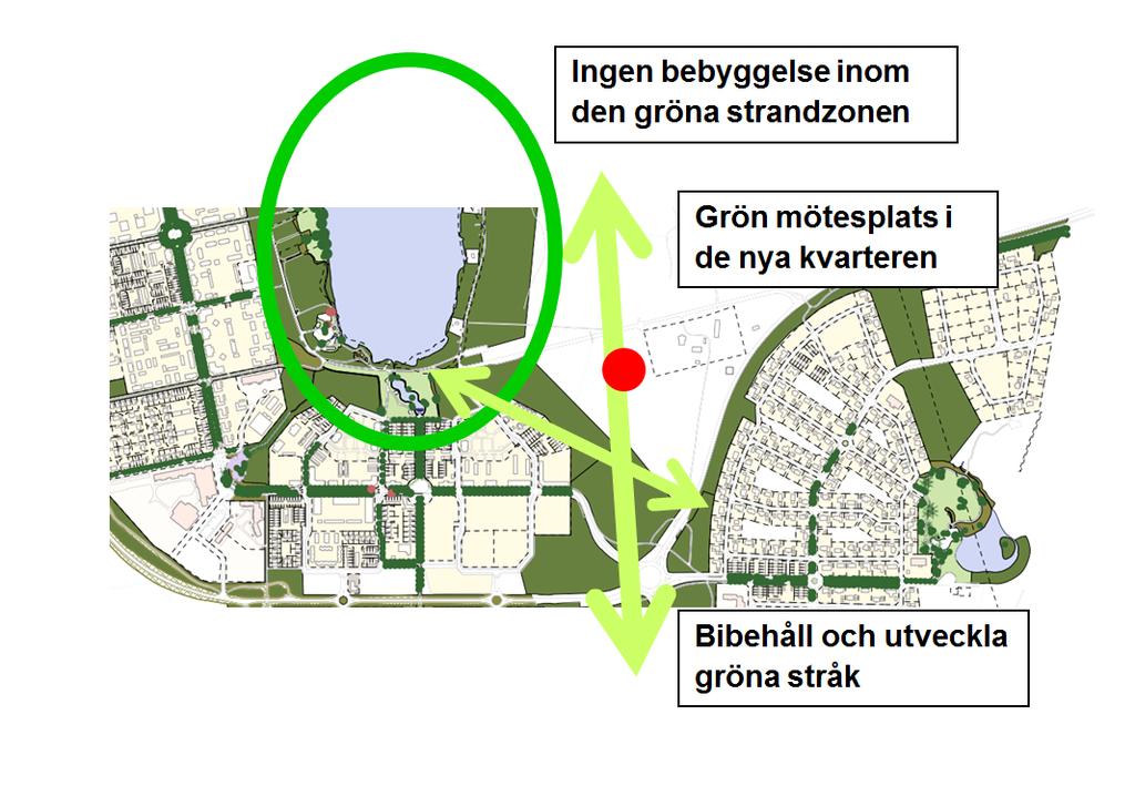 Gröna kvaliteter - att ta tillvara på Odlingsmöjligheter Värna den gröna zonen runt sjön Tomtebobäcken Utveckla systemet av stigar och