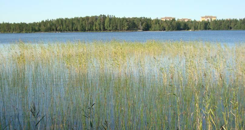 Ur FÖP Nydala: Nydalasjön omges av en grön skärm av vegetation.