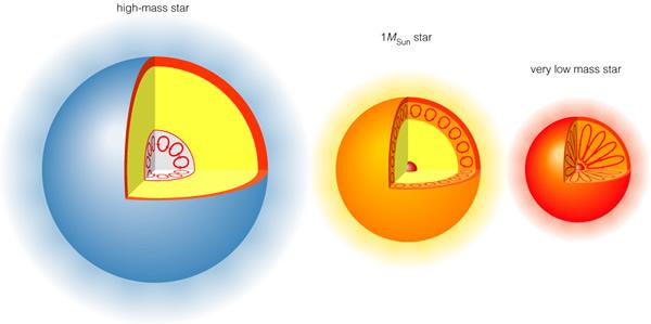 Skillnader gentemot stjärnor med lägre massa 1. Elektronerna I kärnan blir inte degenererade förrän i det sista stadiet när en stjärnans centrala del består av järn. 2. Konvektiv kärna.