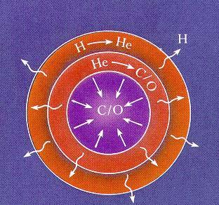 Från heliumförbränning till kärnans kollaps 1. Den heliumförbrännande kärnan omges av ett väteförbrännande skal. 2.