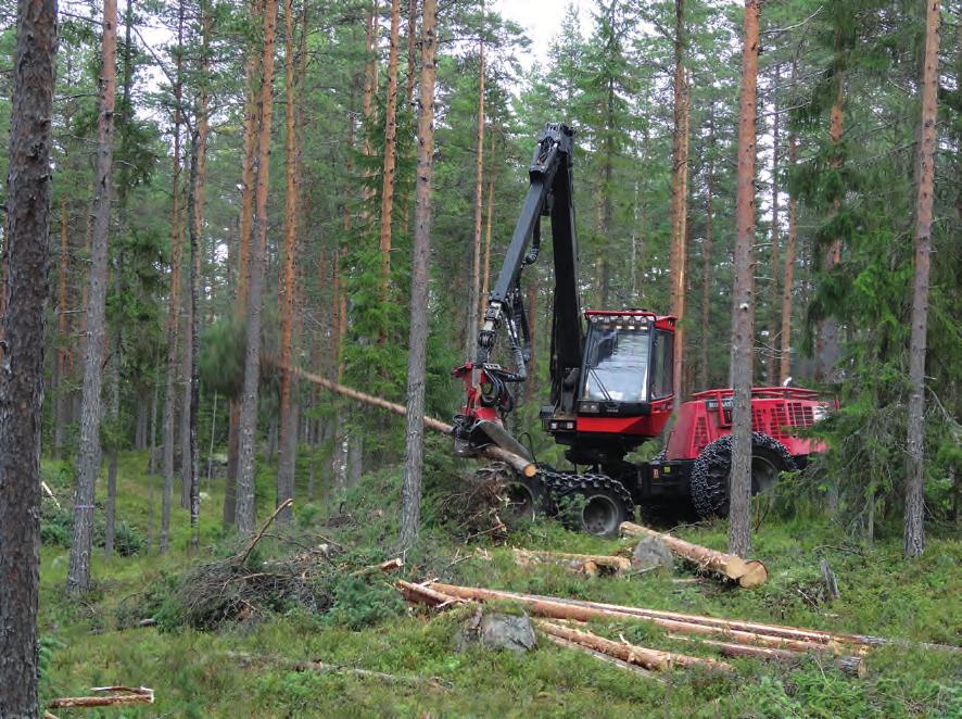 4.1.2 Avverkning Ett av Stora Ensos ordinarie gallringslag utförde avverkningen i mitten av augusti 2014.