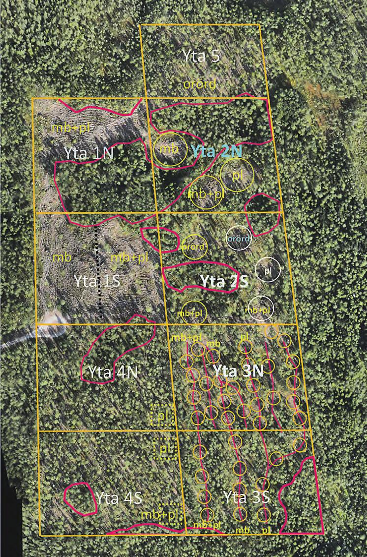 4.1.3 Plan föryngringsåtgärder Beskriver vilka föryngringsåtgärder som är genomförda på de olika delytorna under 2015. Planen är framtagen efter samråd med referensgruppen.