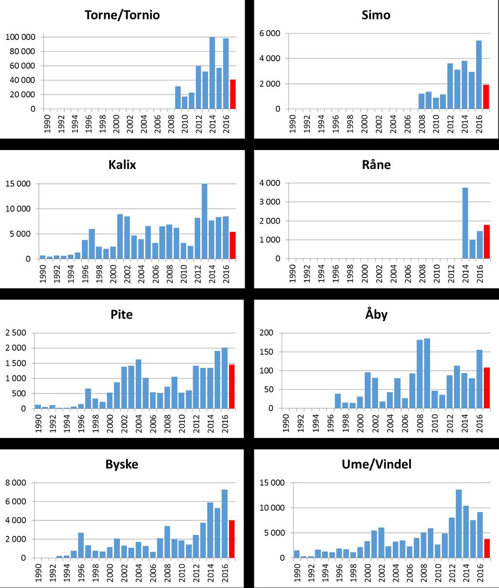 7 (46) Figur 2. Uppvandring 1990-2017 av lax i åtta vildlaxälvar kring Bottniska viken (röda staplar indikerar delvis preliminära data för 2017).