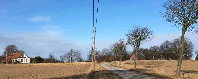 Väla skog är en ädellövskog som består av bok, ek, ask, lind, hassel och al. Den västra delen av skogen är särskilt rik på örter tack vare att det sker översilning av vatten i marken.