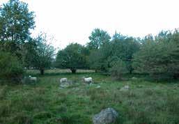 I västra kanten löper järnvägen som anlades på 1860-talet. I samband med att man anlägger dubbelspår på Västkustbanan kommer det att göras ett intrång i naturreservatet.