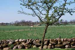 Odlingslandskapet runt Rosendals slott utgjordes av ett stort, sammanhängande inägolandskap med ängar och mindre åkrar som sträckte sig mellan Viken och Mörarp samt Fleninge.