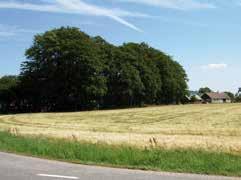 Bjuvs kommun Hjortshög På 1700-talet var Hjortshög, eller Jordhög som den då kallades, en av de största byarna i området. Byn har legat vid korsningen Lydestadsvägen - Rosenlundsvägen.