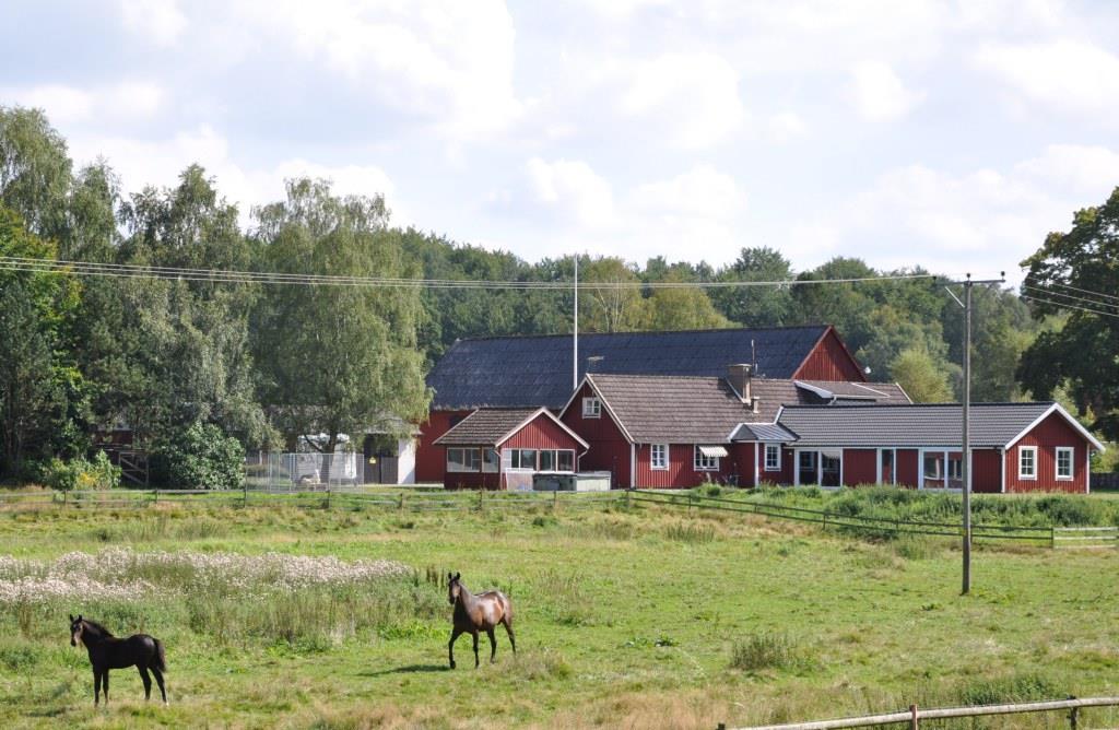 Ridhus Tectum från 2007 med läktare och stor p-plats. Skrittmaskin, belyst ridbana och paddock. Genomtänkt hagsystem med vattenförsörjning och tillfartsvägar.