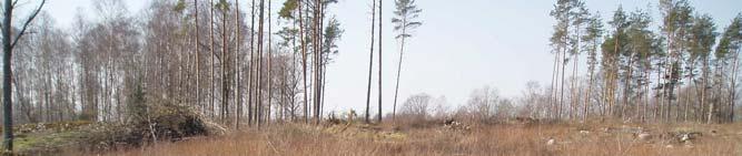 Resultat och diskussion Sökschaktningen påvisade en orörd grund, bestående av morängrus på mellan 0,25 och 0,40 m djup. I schakt 2 framkom berggrunden på en punkt på endast ett par decimeters djup.