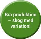 Lär dig mer om skog Under våren erbjuder Skogsstyrelsen i Kronoberg ett flertal utbildningstillfällen där du som är intresserad av skog kan få kostnadsfri kompetensutveckling och möjlighet att hämta